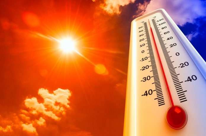 Estudo prevê até 13 mil mortes no Brasil com calor do Super El Niño; Norte e Nordeste podem ser os mais afetados